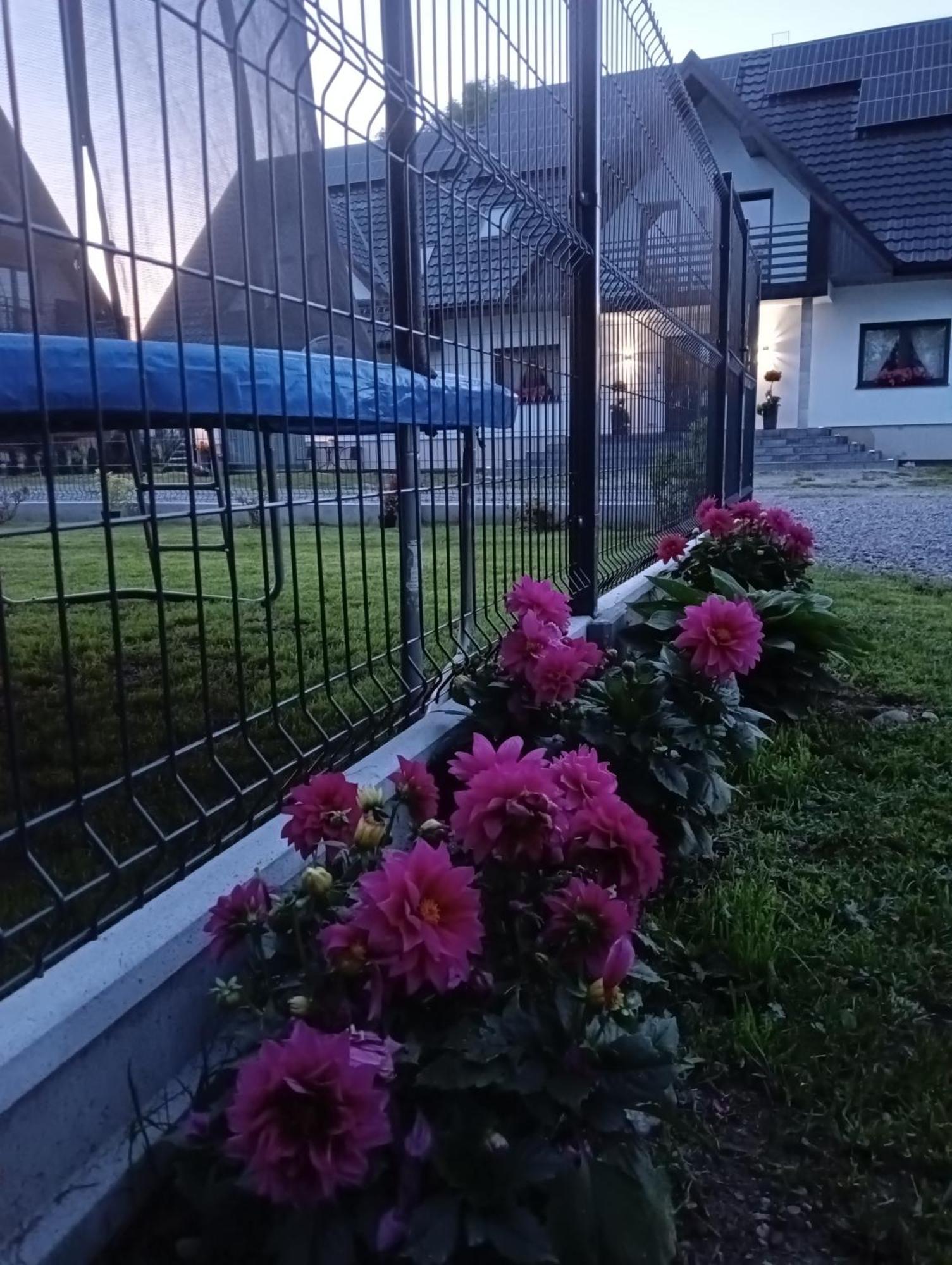 Apartament Skorusinka W Poblizu Chocholowskich Term Witów Zewnętrze zdjęcie